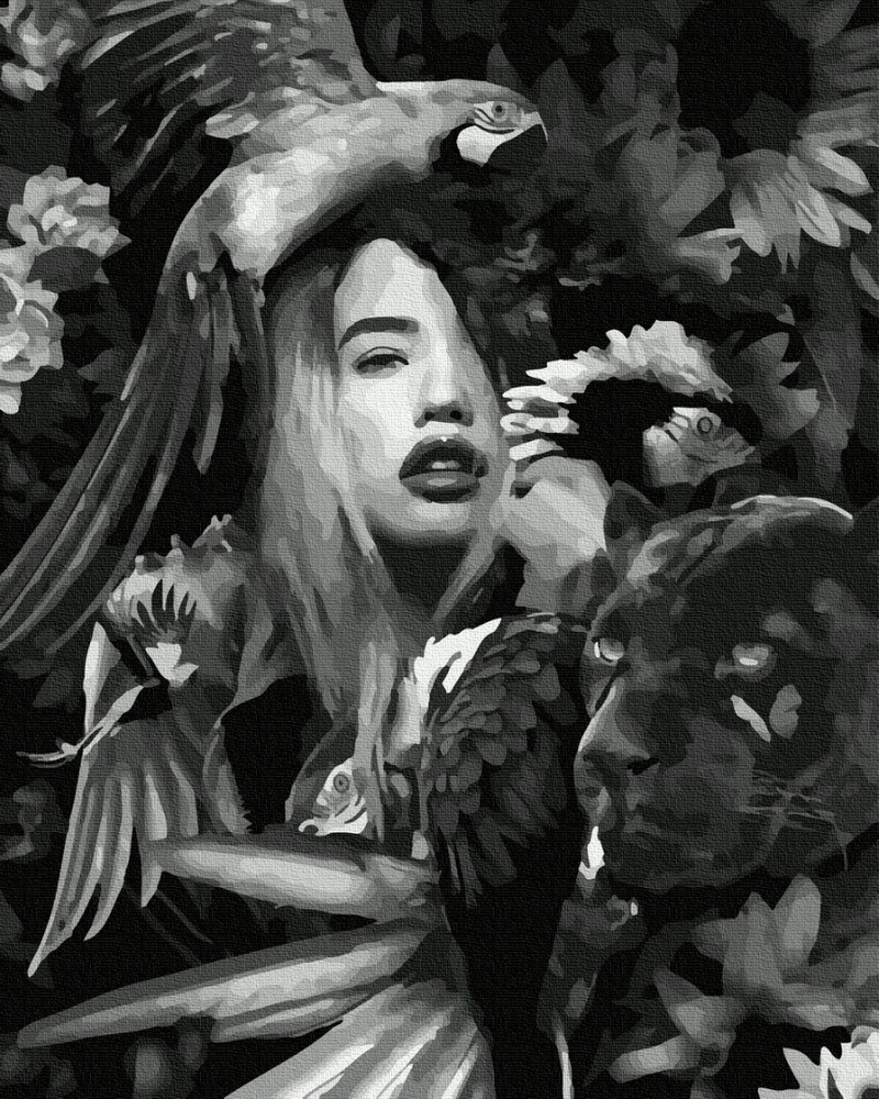 

Амазонка. Картина по цифрам. Brushme 40x50