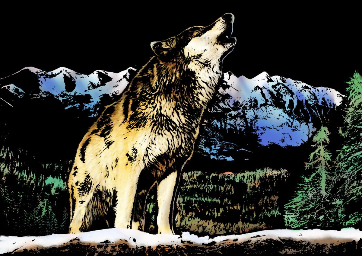 

Скретч картина "Wolf" (Волк). Yuelu 41x29