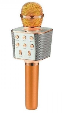 

Беспроводной караоке-микрофон WSTER WS-1688 Bluetooth USB AUX FM Розовое Золото