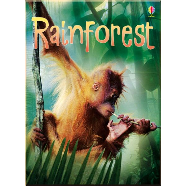 

Usborne Rainforests. Lucy Bowman. ISBN:9780746090077