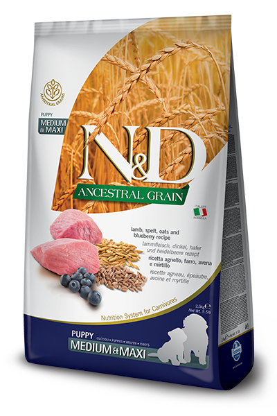 

Farmina (Фармина) N&D LOW GRAIN DOG LAMB & BLUEBERRY PUPPY MEDIUM & MAXI 12 KGНизкозерновой сухой корм для щенков средних и больших пород (ягненок / черника), 12 кг