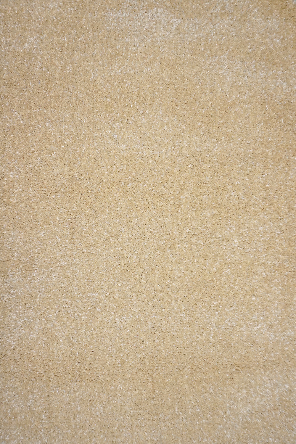 

Ковер Acvila Group PANDA 1039 1 1.6х2.3 м. Прямоугольник Бежевый