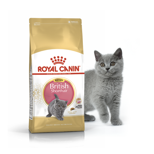 

Сухой корм Royal Canin для котят породы Британская короткошерстная с 4 до 12 месяцев Kitten British Shorthair 10 кг BGL-RC-365