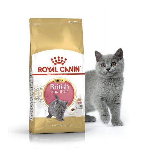 

Сухой корм Royal Canin для котят породы Британская короткошерстная с 4 до 12 месяцев Kitten British Shorthair 2 кг BGL-RC-364