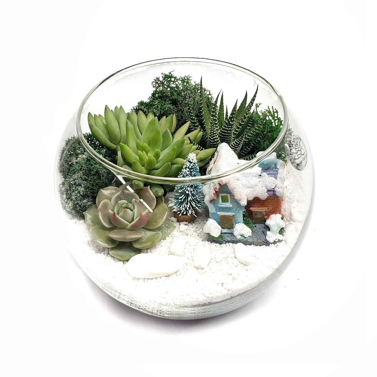 

Новогодний Флорариум со снегом и суккулентами Magic Gardens «Домик» 15 см