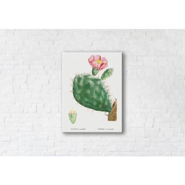 

Картина на холсте Cactus Pink 75x100см Franklin