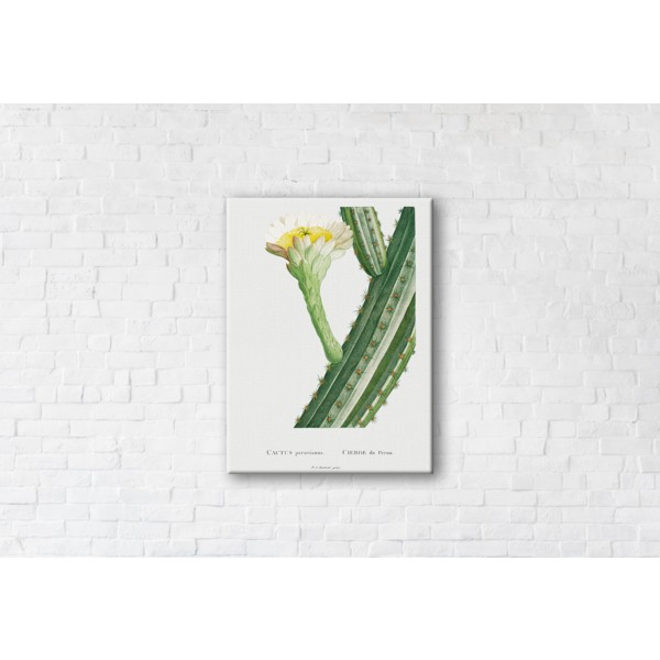 

Картина на холсте Cactus 90x120см Franklin