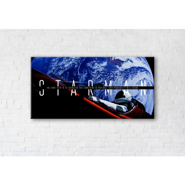 

Картина на холсте Starman 70x140см Franklin