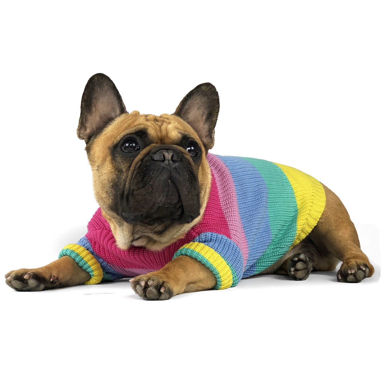 

Свитер для собак DogClub Rainbow S Multicolor