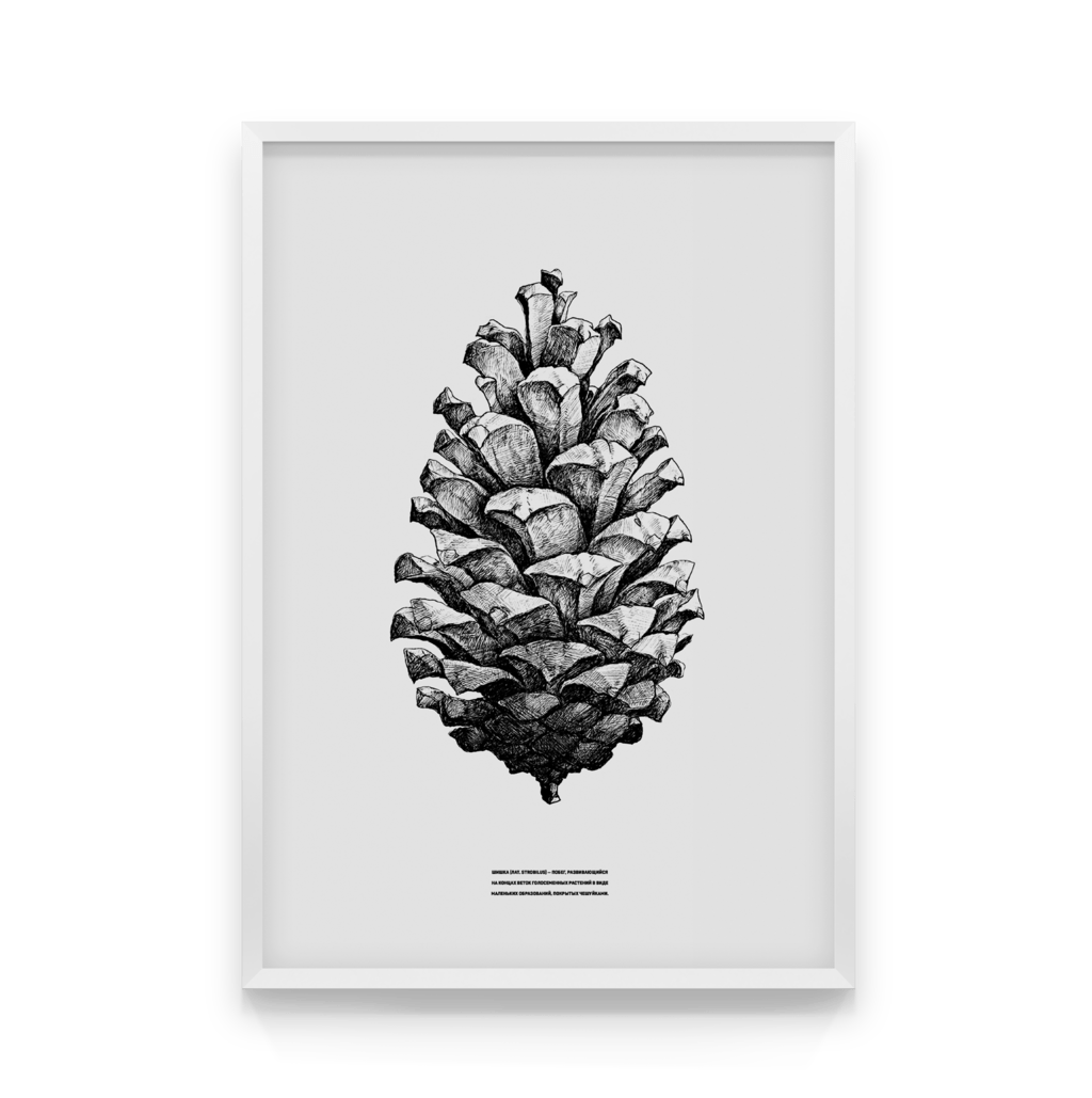 

Постер в рамке STROBILUS 40x50 см