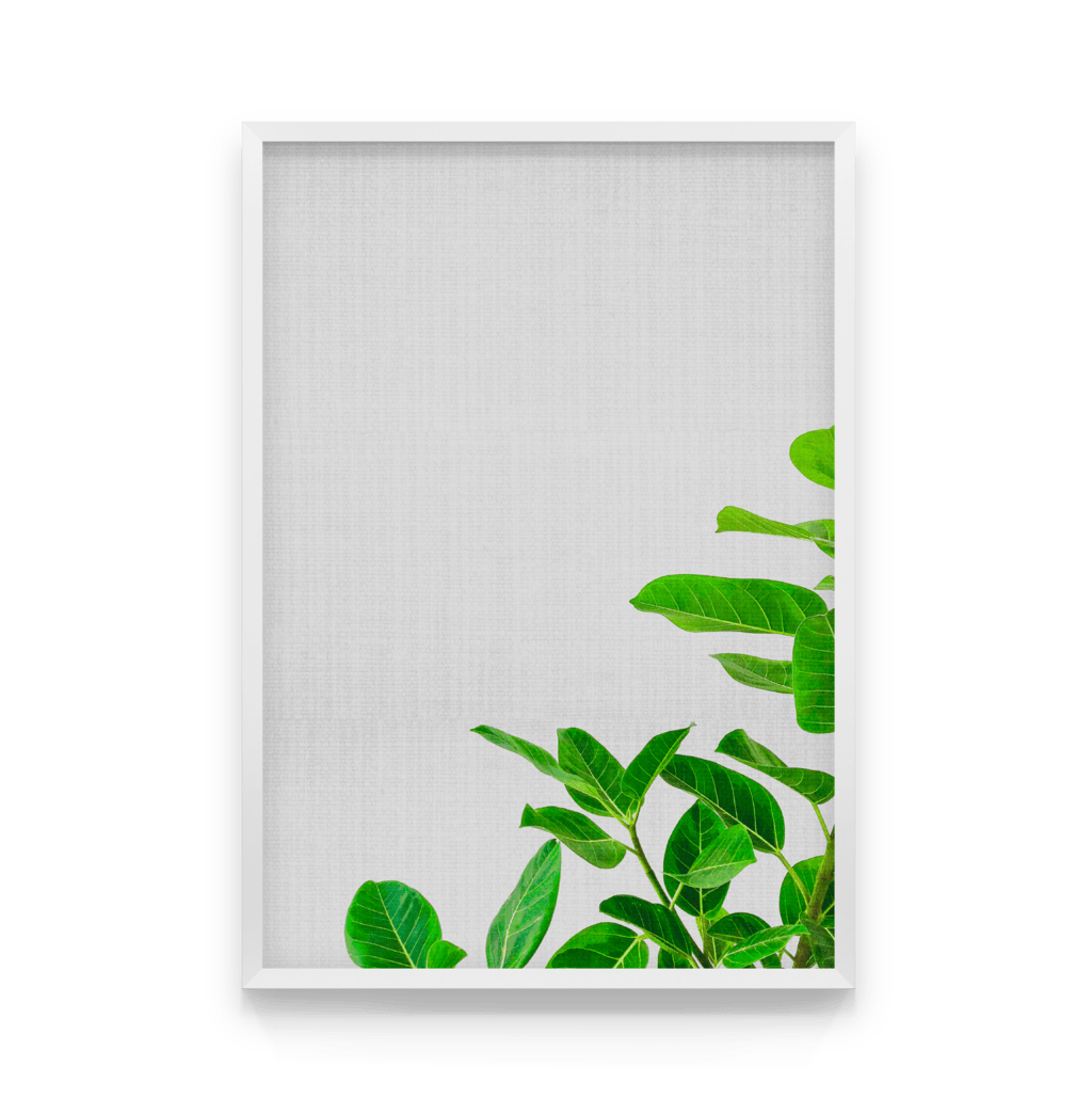 

Постер в рамке BOTANICA 50x70 см