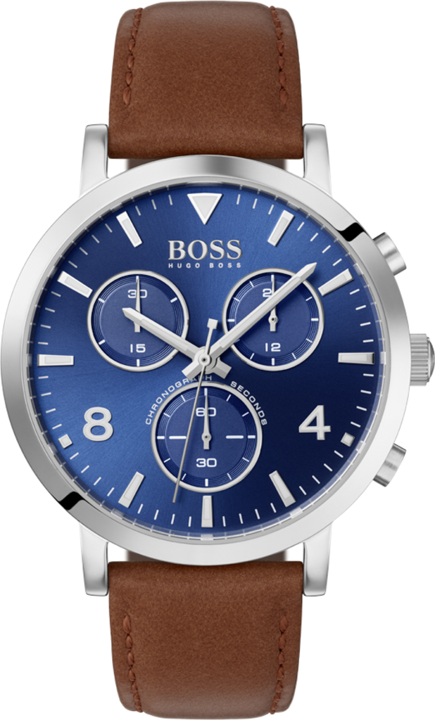 

Мужские часы Hugo Boss 1513689