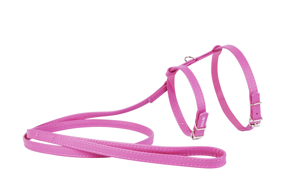

Шлея с поводком для кошек и мелких собак розовая GLAMOUR WAUDOG ш. 12 мм, дл. 115 см WAUDOG BGL-WD-2962
