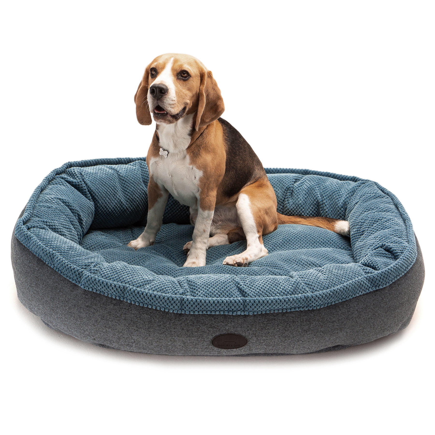

Овальный лежак синий Donut Soft Touch Ocean L 100х70х21 см Harley & Cho BGL-HL-17-9