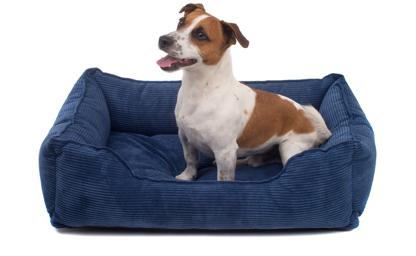 

Лежак Dreamer Denim Velvet синий L (90x60 cm) Harley & Cho BGL-HL-138