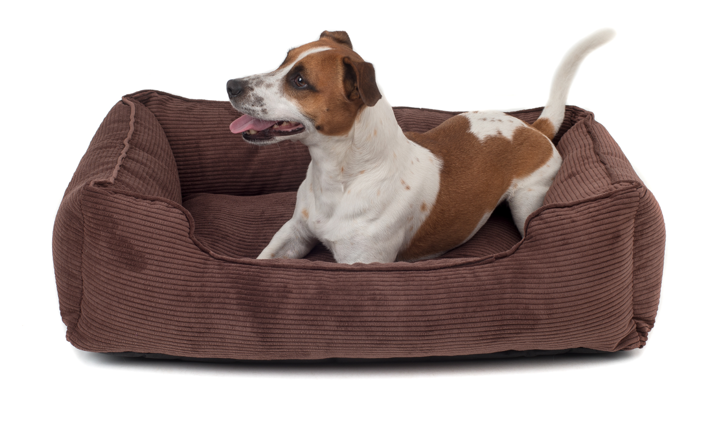 

Лежак Dreamer Brown Velvet коричневый L (90x60 cm) Harley & Cho BGL-HL-126