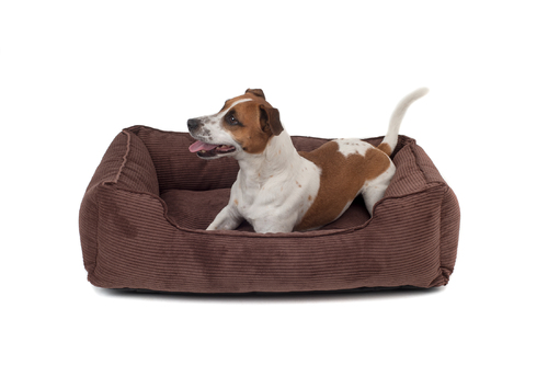 

Лежак Dreamer Brown Velvet коричневый XL (110x70 cm) Harley & Cho BGL-HL-127