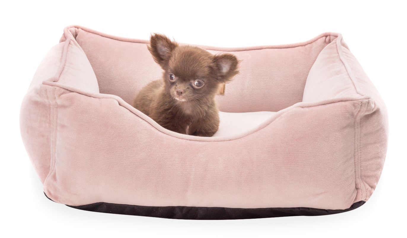 

Лежак Dreamer Velur Pudra пудровый S (60x45 cm) Harley & Cho BGL-HL-100