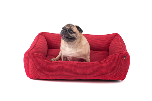 

Лежак Dreamer Red Velvet красный M (70x50 cm) Harley & Cho BGL-HL-155