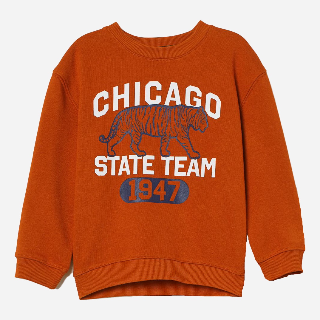 

Свитшот H&M 1603-92836822 128 см Оранжевый