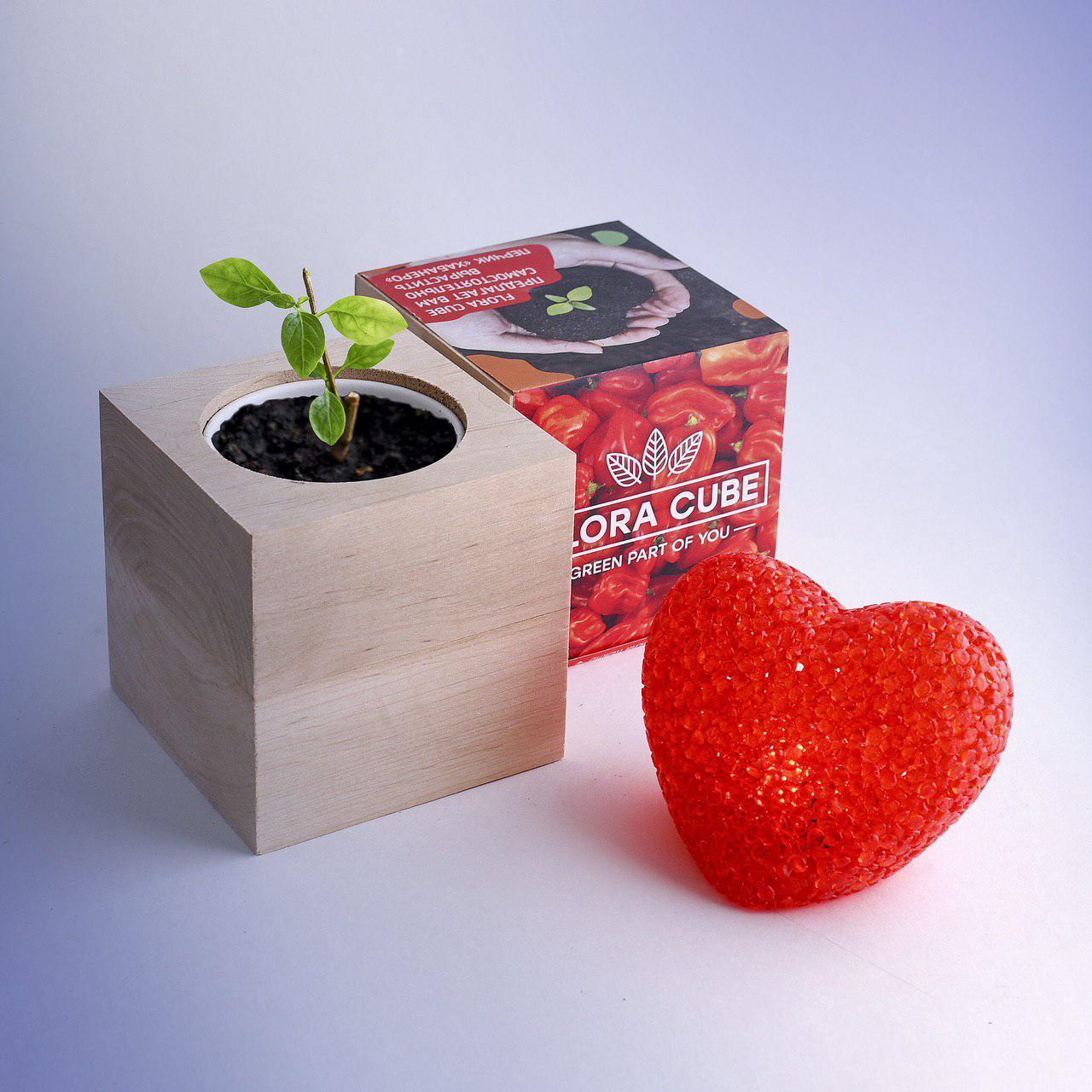 

Экокуб Flora Cube Перец Хабанеро
