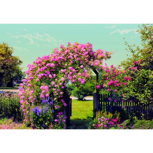 

Фотообои Komar РОЗЫ 368х254 см (11682363)
