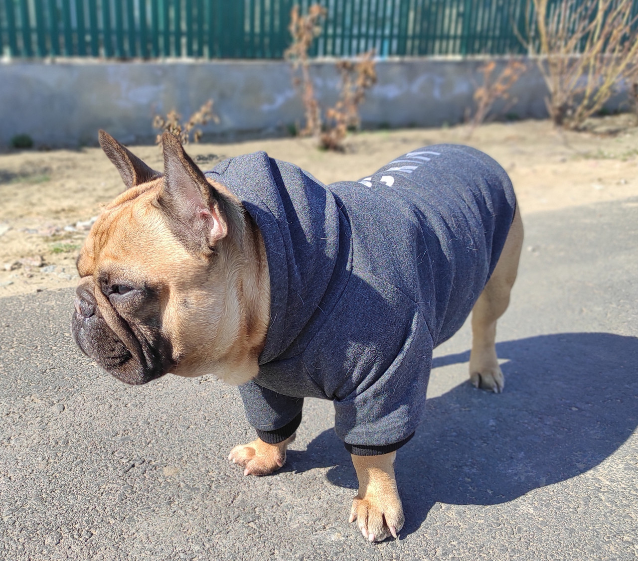 

Худи для собак DogClub Security Grey L