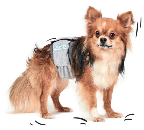 

Пояс гигиенический для кобелей M (талия 36 см, ширина пояса 12.5 см) Pet Fashion BGL-PF-99
