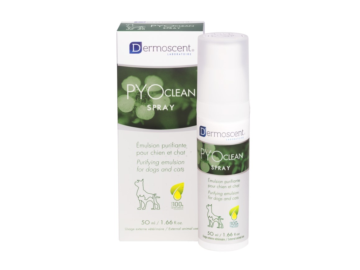 

Спрей для ухода за кожей собак и кошек Dermoscent PYOclean Spray 50 мл Dermoscent® BGL-DE-21