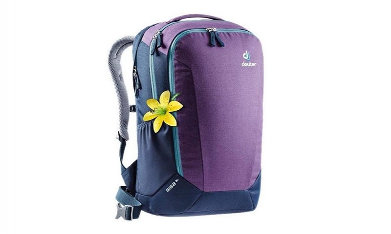 

Рюкзак Deuter Giga SL цвет 5317 plum-navy