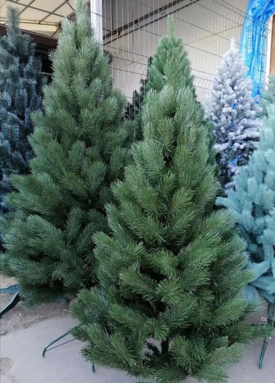

Сосна искусственная ЭЛИТ литая 1,50 м (150см)