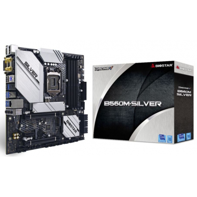

Материнская плата Biostar B560M-SILVER