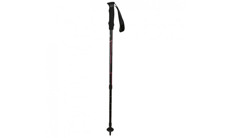 

Палки треккинговые Hannah Trek W Anthracite/beaujolais