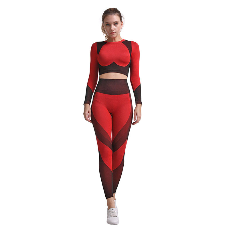 

Женский комплект лосины и топ Lesko The Queen Jane 314 Red  с длинным рукавом для занятий спортом (K/OPT2_6884-24197, Женский комплект лосины и топ Lesko The Queen Jane 314 Red S с длинным рукавом для занятий спортом (K/OPT2_6884-24197)