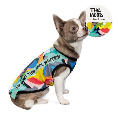

Борцовка для собак COOL XS-2 - дл. 26-28 см Pet Fashion BGL-PF-1176
