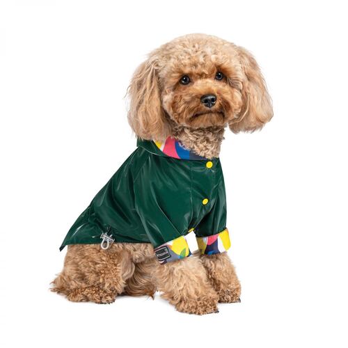 

Ветровка для собак зеленая Pet Fashion AIR M Pet Fashion BGL-PF-1128
