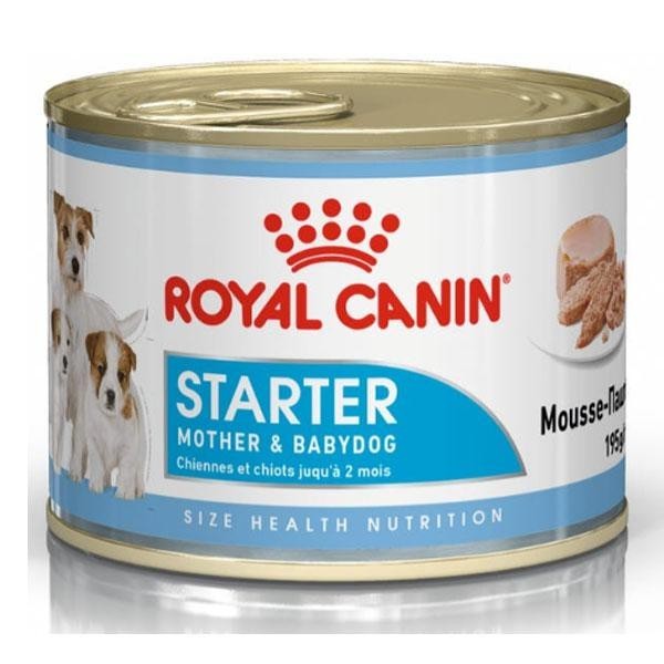 

Упаковка влажного корма Royal Canin Starter Mousse для беременных собак и щенков всех пород 12 шт по 195 г (9003579311462)