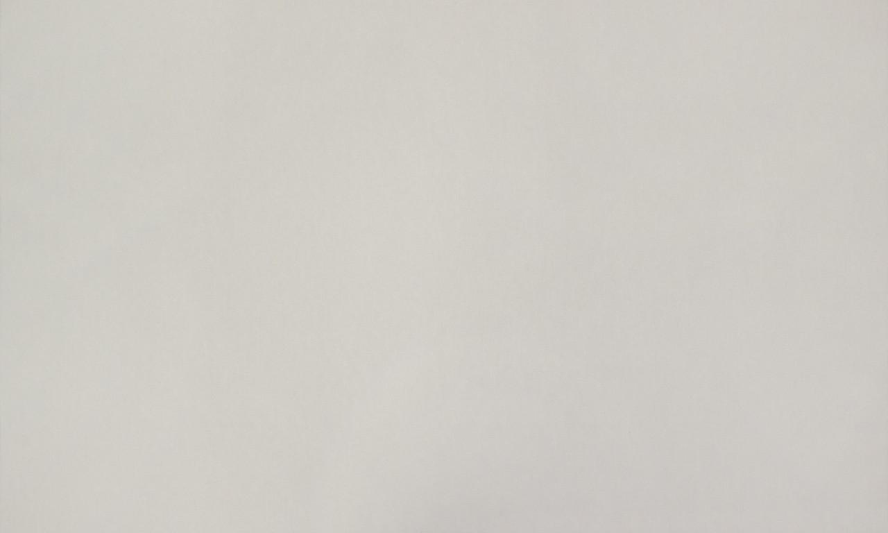 

Обои виниловые горячего тиснения на флизелиновой основе Vinil LS ФК 1.06х10.05 м бежевые (СШТ 7-1215)
