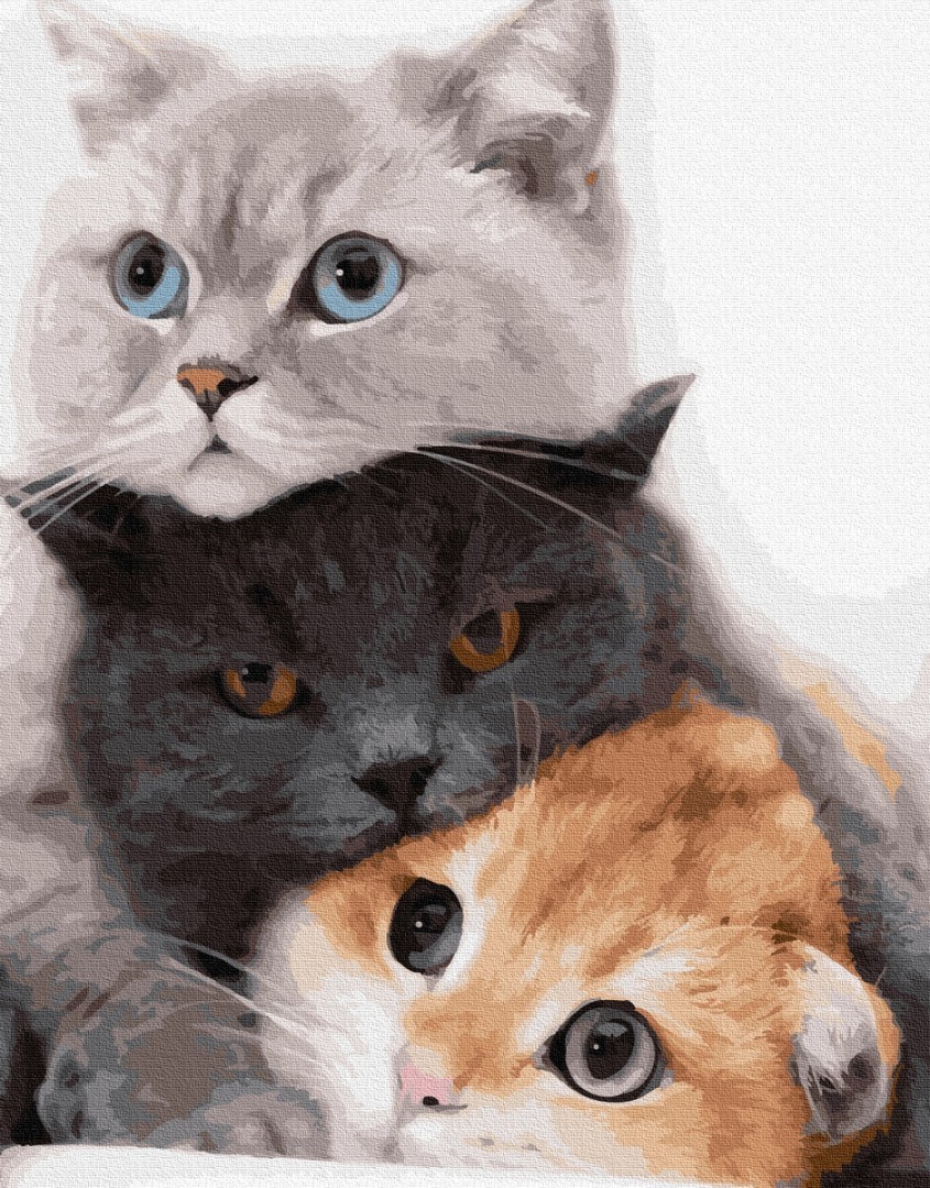 

Картина по номерам Котики. муркотики. Brushme 40x50