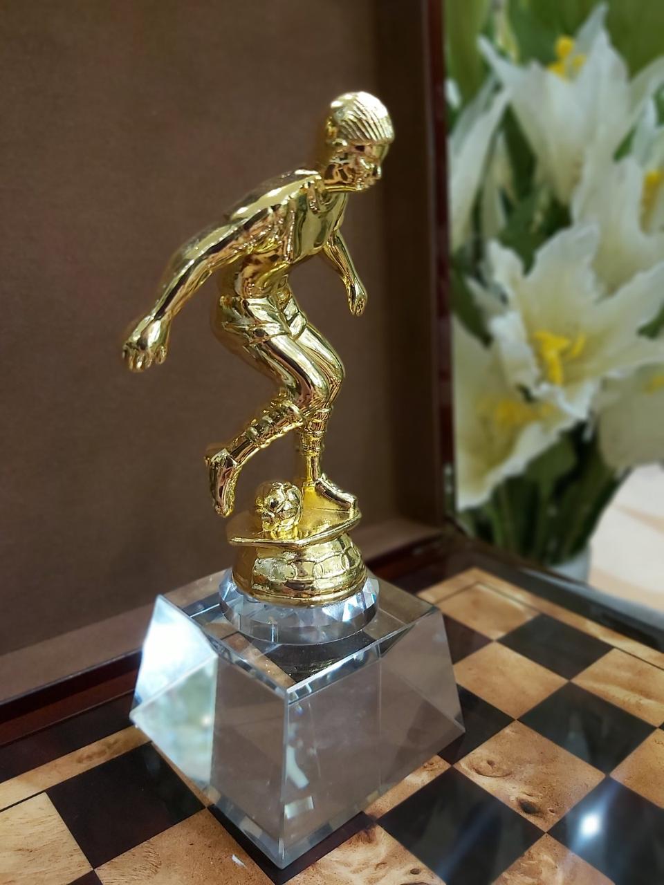 

Статуэтка Футбольный кубок Bona Чемпион, спортивная награда