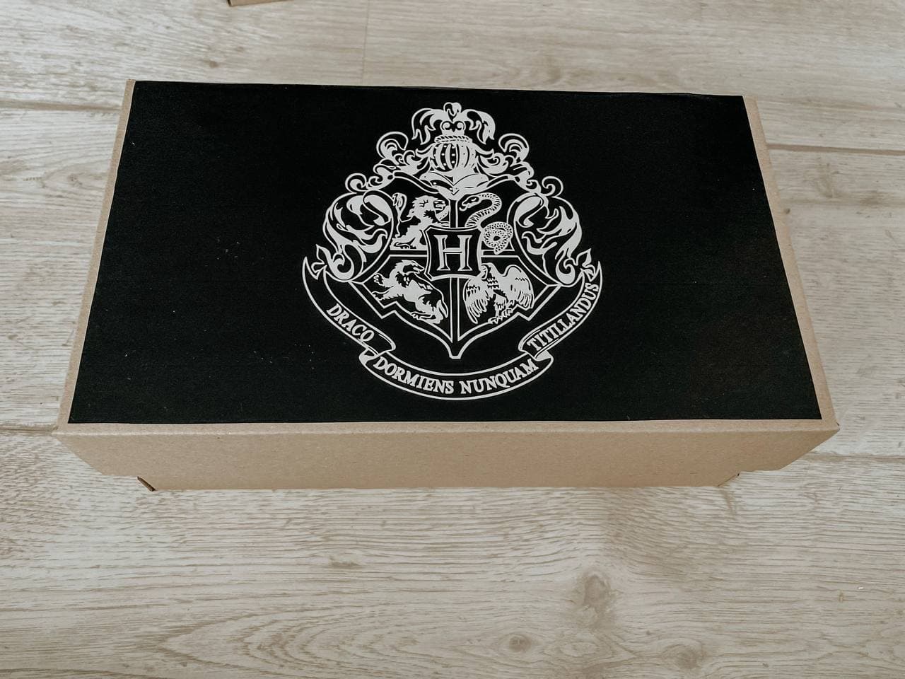 

Подарочный набор Mr. Kitman "Harry Potter" VIP (9733)