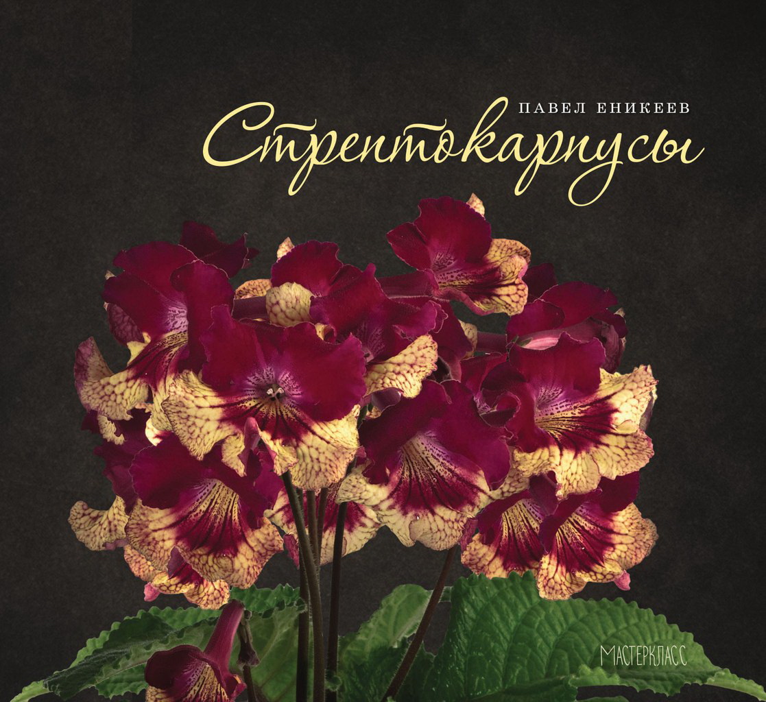 

Книжка дитяча "Стрептокарпусы"