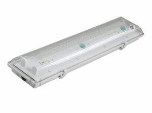 

Светильник ЛСП3901А ABS/PS 2х18Вт IP65 IEK (LLSP2-3901A-2-18-K03)