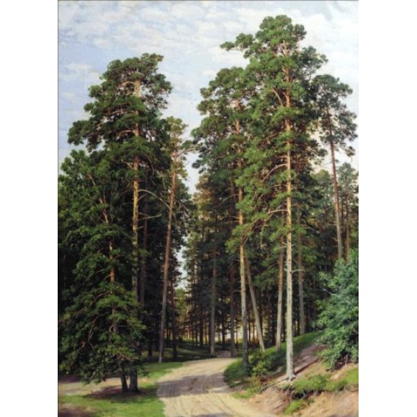 

Набор для вышивания крестом 118*80 см
