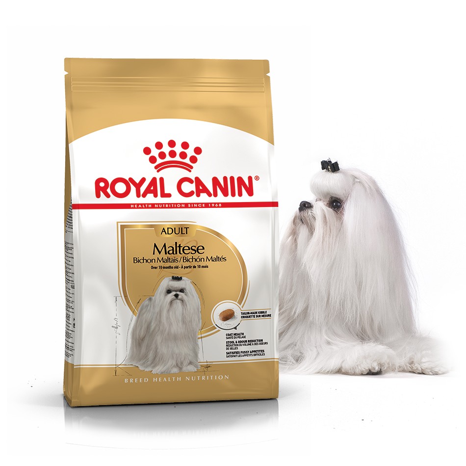 

Сухой корм для собак Royal Canin Maltese Adult 1.5 кг для взрослых собак породы Мальтийская болонка