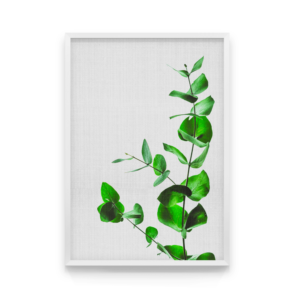 

Постер в рамке BOTANIC 50x70 см