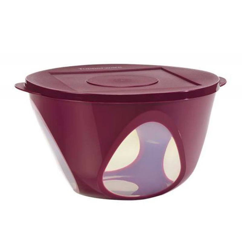 

Чаша Tupperware Аркадія 4,3 л (РП109)