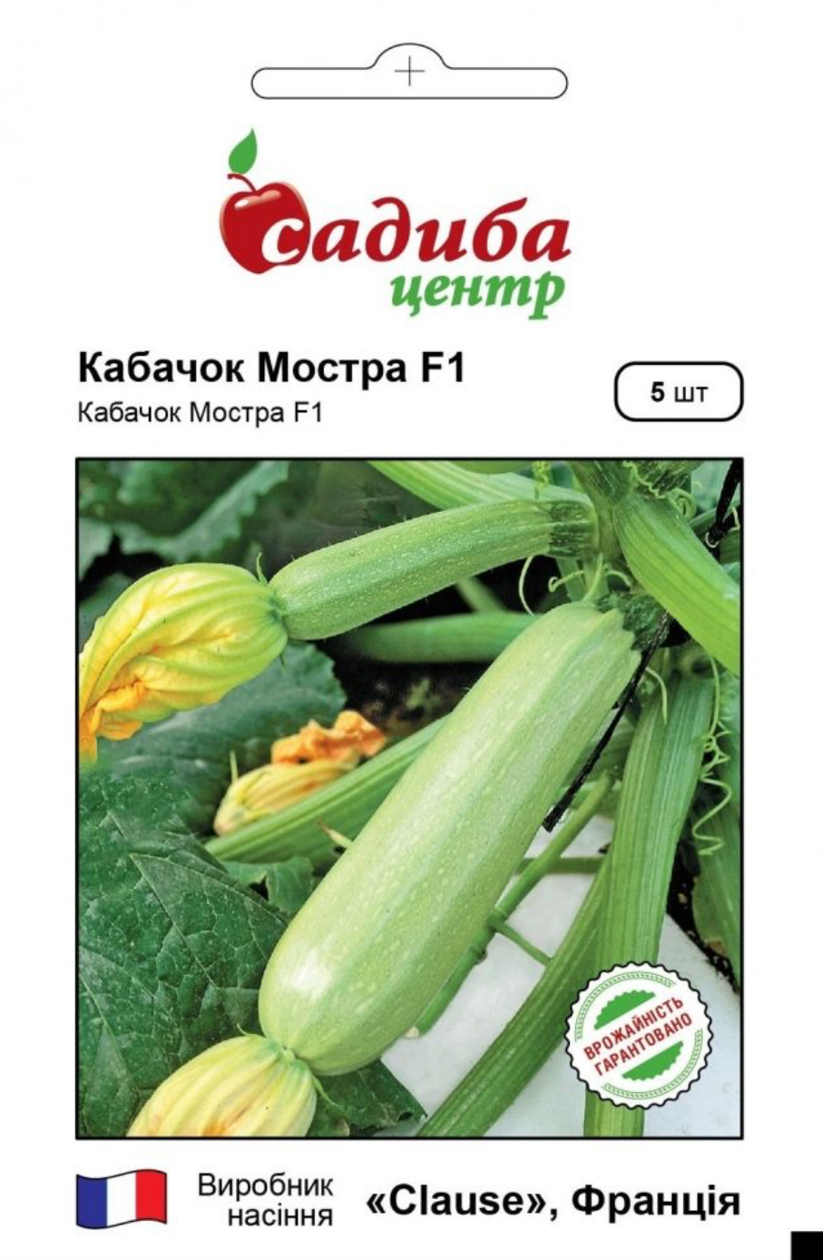 Сорта кабачков для салата