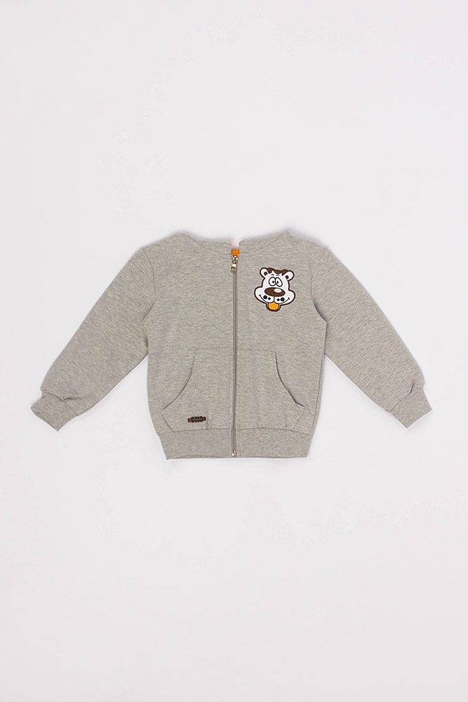 

Толстовка на блискавці на хлопчика BREEZE GIRLS-BOYS 110 сірий (SKT000572491)