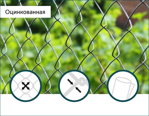 

Сетка Рабица оцинкованная Сітка Захід 60х60/2,5мм 1,5м/10м